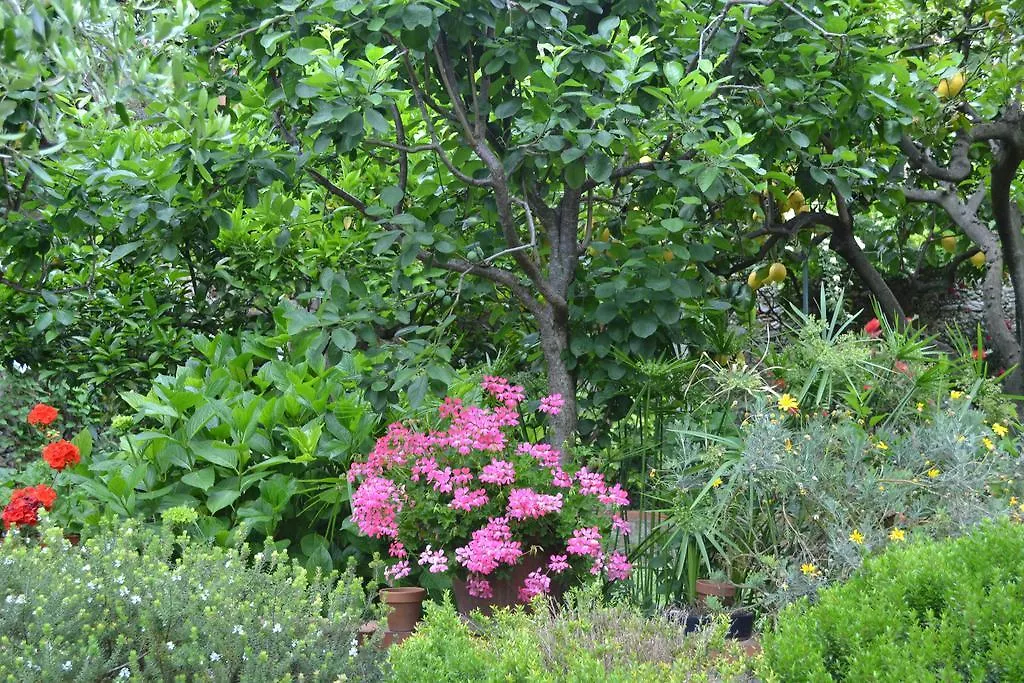 Casa Nobile Bed & Breakfast Tovo San Giacomo